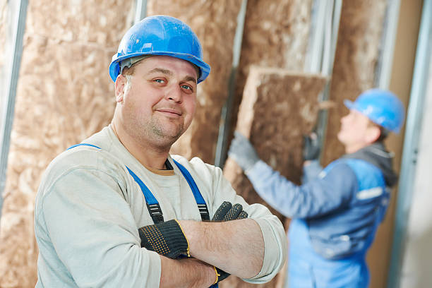 Best Residential Insulation in Hermantown, MN